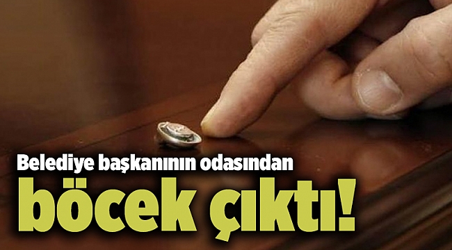 Belediye başkanının odasından böcek çıktı!