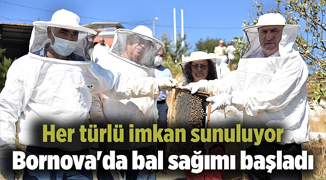 Bornova'da bal sağımı başladı