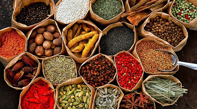 Dünya baharatının rotası Ege’de çizildi