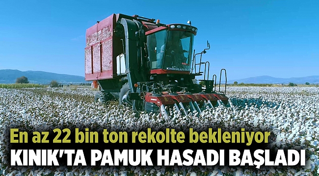 KINIK'TA PAMUK HASADI BAŞLADI