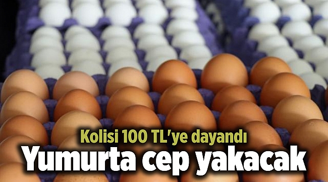 Yumurta cep yakacak: Kolisi 100 TL'ye dayandı