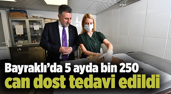 5 ayda bin 250 can dost tedavi edildi