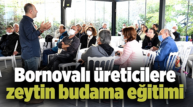 Bornovalı üreticilere zeytin budama eğitimi