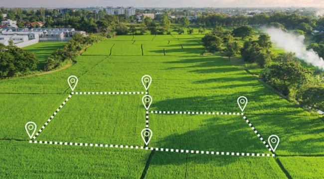 Ev alamayan alternatif buldu! Arsa, tarla satışında rekor kırıldı