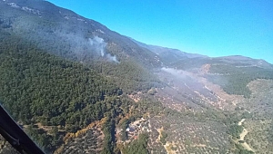 Kazdağları'nda orman yangını: Müdahale başladı