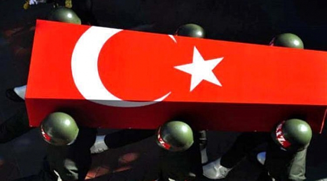 MSB acı haberi duyurdu: 2 şehit