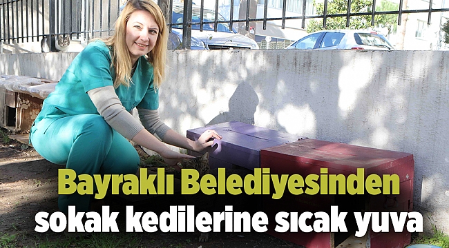 Bayraklı Belediyesinden sokak kedilerine sıcak yuva