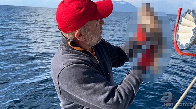 En son 45 yıl önce görülmüştü! O ilde tekrardan ortaya çıktı