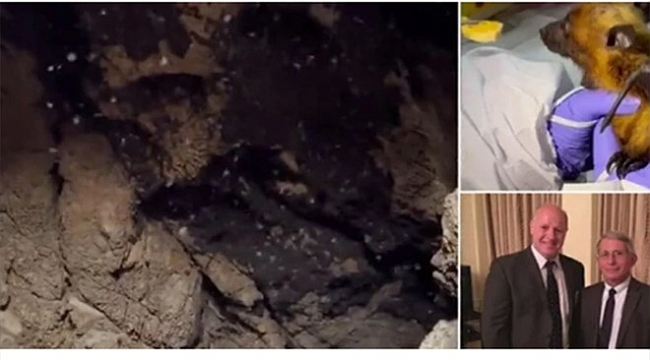 İngiliz bilim insanı: Covid-19’un kaynağı o mağara!