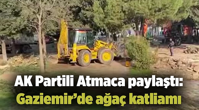 AK Partili Atmaca paylaştı: Gaziemir’de ağaç katliamı