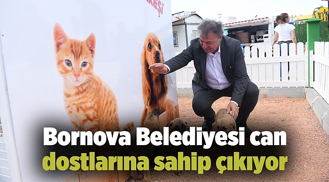 Bornova Belediyesi can dostlarına sahip çıkıyor