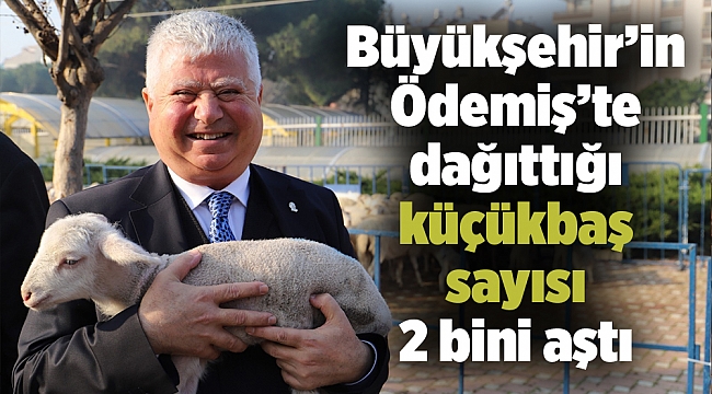 Büyükşehir’in Ödemiş’te dağıttığı küçükbaş sayısı 2 bini aştı