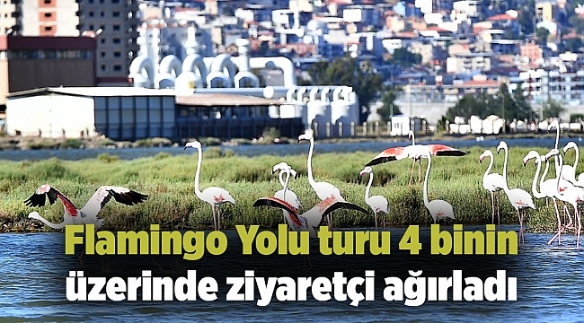 Flamingo Yolu turu 4 binin üzerinde ziyaretçi ağırladı
