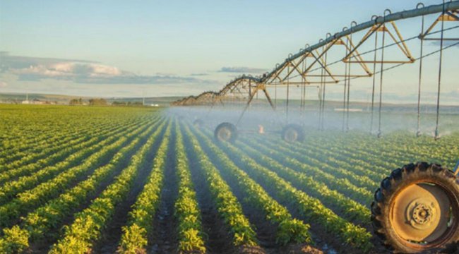 ÇKS ürün güncelleme işlemleri E-Devlet üzerinden başladı