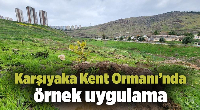 Karşıyaka Kent Ormanı’nda örnek uygulama