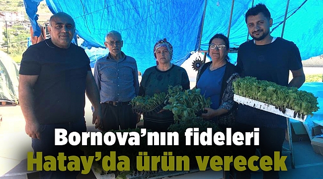 Bornova’nın fideleri Hatay’da ürün verecek