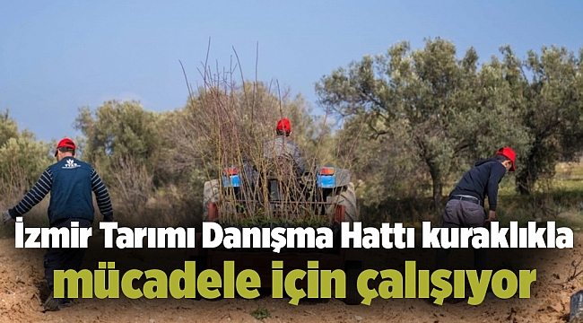 İzmir Tarımı Danışma Hattı kuraklıkla mücadele için çalışıyor