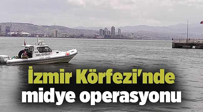 İzmir Körfezi'nde midye operasyonu