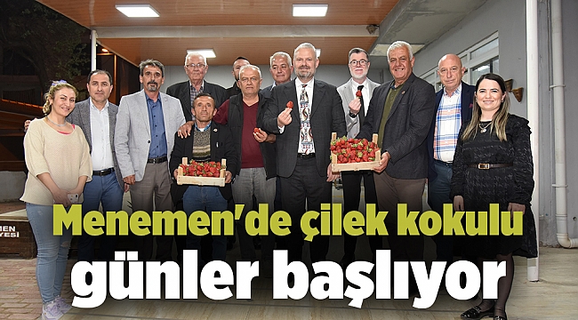 Menemen'de çilek kokulu günler başlıyor