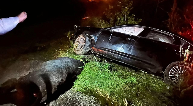 AK Parti Grup Başkanvekili Yenişehirlioğlu trafik kazasında yaralandı