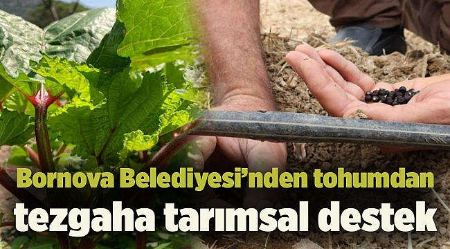 Bornova Belediyesi’nden tohumdan tezgaha tarımsal destek