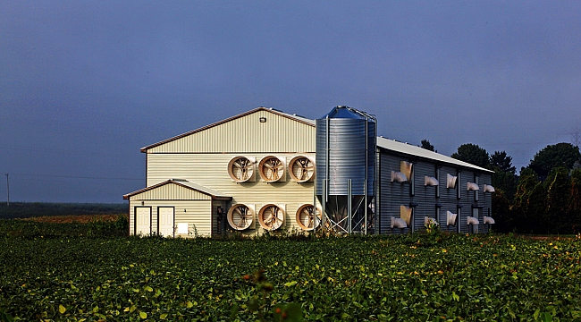 Dünya Çevre Günü&#039;nün 50. Yılında Kanatlı Eti Sektörü Çevreci Yaklaşımlarını Artırarak Sürdürüyor