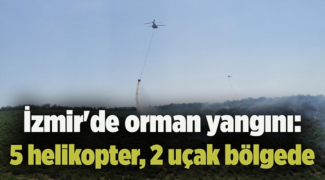 İzmir'de orman yangını: 5 helikopter, 2 uçak bölgede