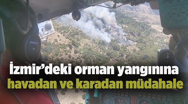 İzmir’deki orman yangınına havadan ve karadan müdahale