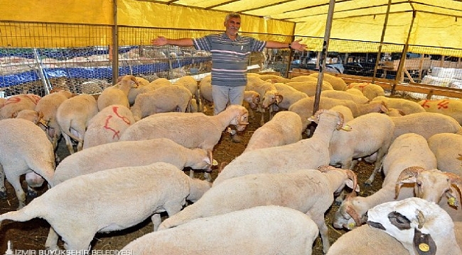 İzmir Kurban'a hazır!
