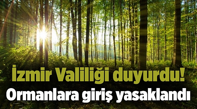 İzmir Valiliği duyurdu! Ormanlara giriş yasaklandı