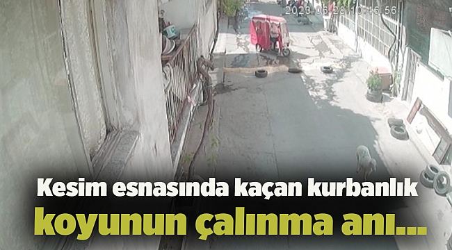 Kesim esnasında kaçan kurbanlık koyunun çalınma anı kameraya yansıdı