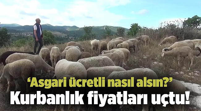 Kurbanlık fiyatları uçtu!