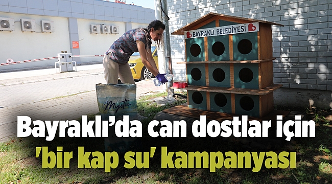 Bayraklı’da can dostlar için 'bir kap su' kampanyası