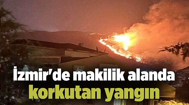 İzmir'de makilik alanda korkutan yangın
