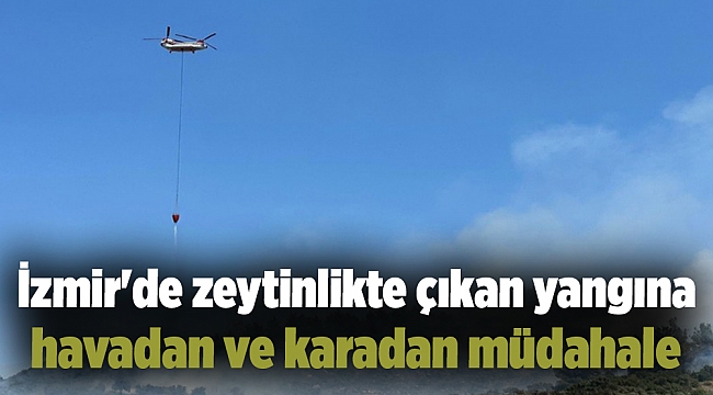 İzmir'de zeytinlikte çıkan yangına havadan ve karadan müdahale