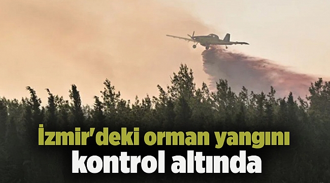 İzmir'deki orman yangını kontrol altında