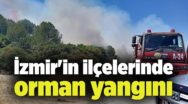 İzmir'in iki ilçesinde aynı anda orman yangını