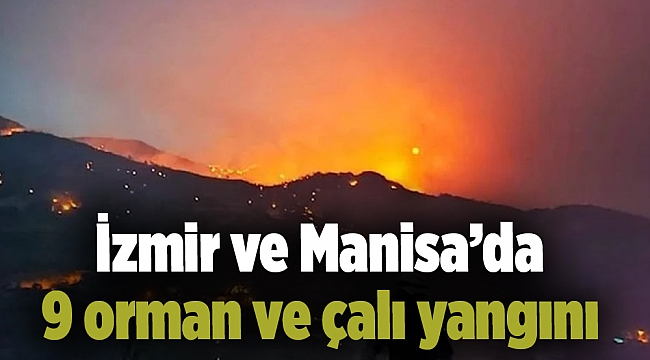 İzmir ve Manisa’da 9 orman ve çalı yangını