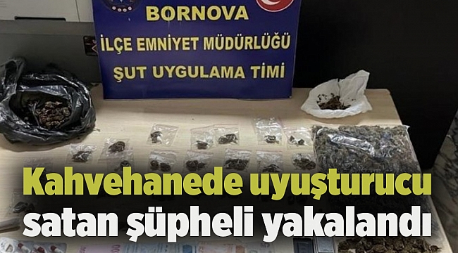 Kahvehanede uyuşturucu satan şüpheli yakalandı