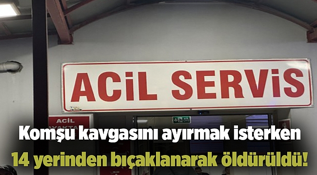 Komşu kavgasını ayırmak isterken 14 yerinden bıçaklanarak öldürüldü!