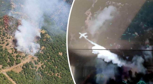 Manisa Alaşehir'de orman yangını: Havadan ve karadan müdahale ediliyor