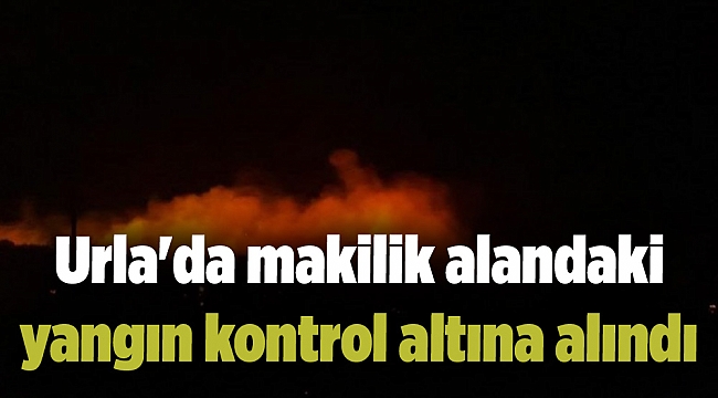 Urla&#039;da makilik alandaki yangın kontrol altına alındı