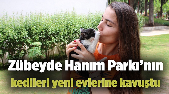 Zübeyde Hanım Parkı’nın kedileri yeni evlerine kavuştu