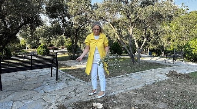 AK Partili Çankırı Bornova'daki ağaç katliamına ateş püskürdü