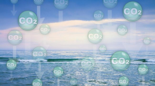 Akdeniz’de deniz suyu sıcaklığı rekor kırdı!