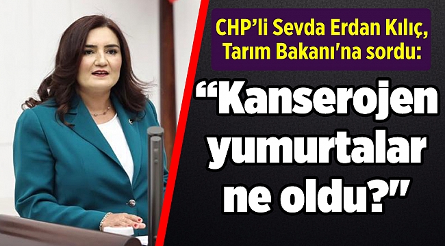CHP’li Kılıç , Tarım Bakanı'na sordu: “Kanserojen yumurtalar ne oldu?