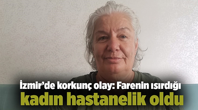 İzmir’de korkunç olay: Farenin ısırdığı kadın hastanelik oldu