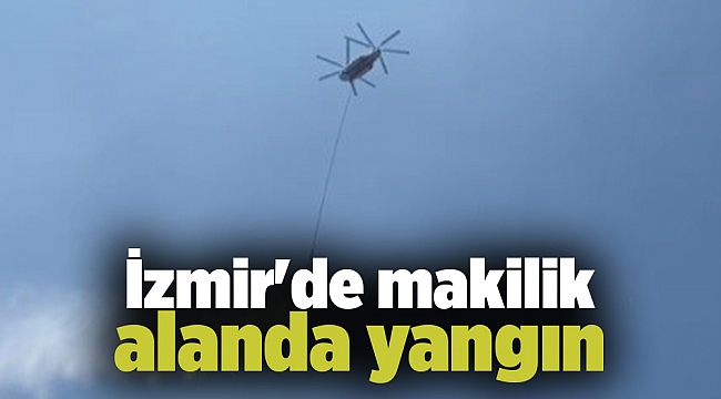 İzmir'de makilik alanda yangın