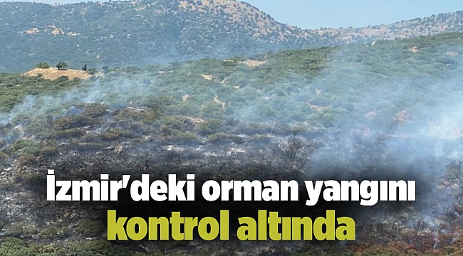 İzmir'deki orman yangını kontrol altında