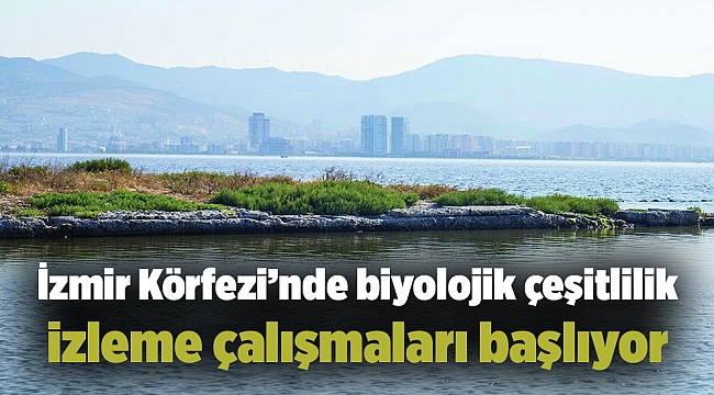 İzmir Körfezi’nde biyolojik çeşitlilik izleme çalışmaları başlıyor